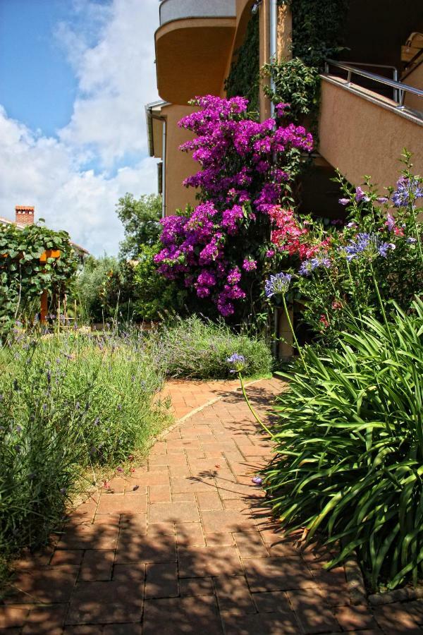 Villa Alexandra 4 Pjescana Uvala Exterior foto